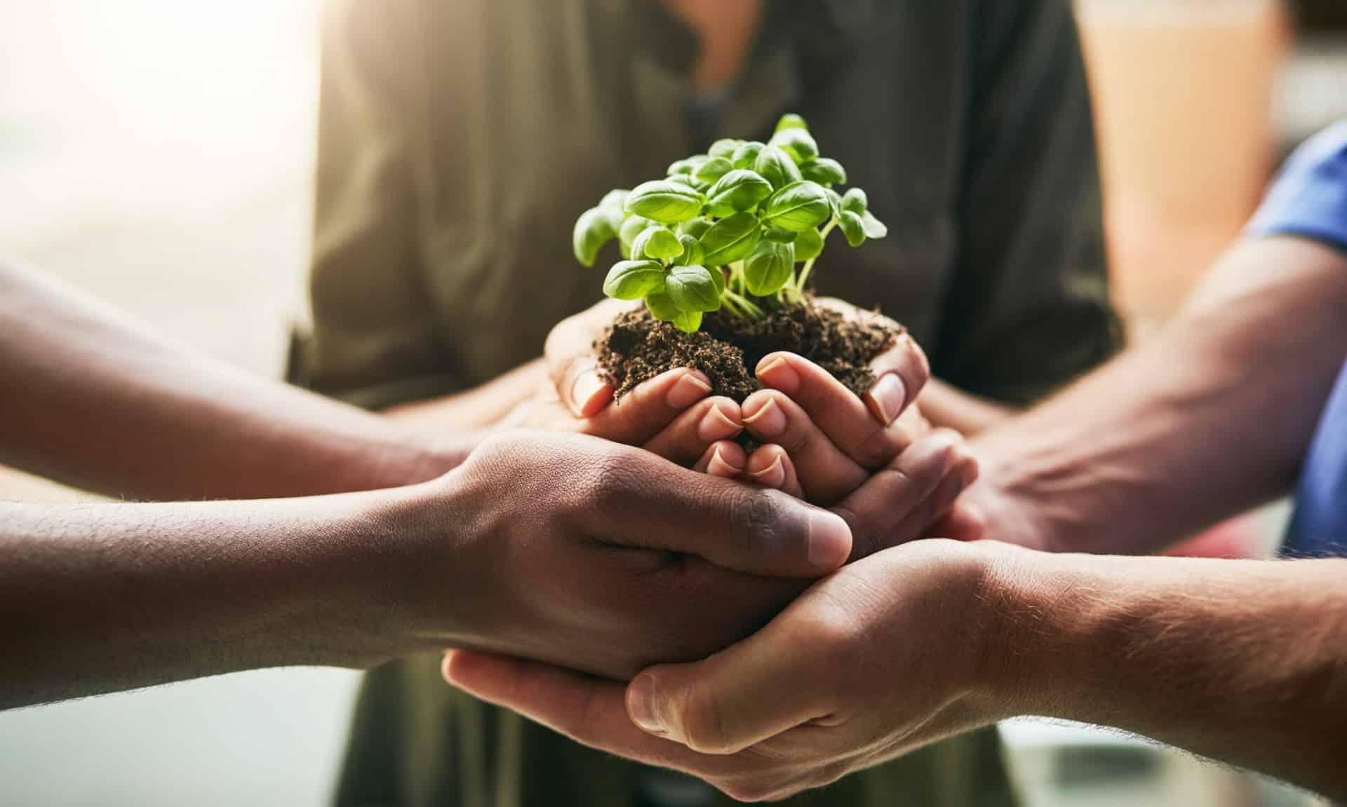 BKLM Ahaus Schulprogramm - Schlüsselbegriff Gesundheit Beispielfoto